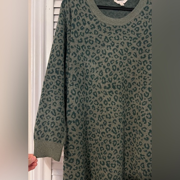 NWT Terra & Sky Women's Plus Size Scoop Neck Leopard Print Sweater Dress 3x - Picture 4 of 10